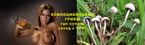 трава Абдулино