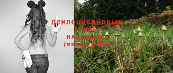 трава Абдулино