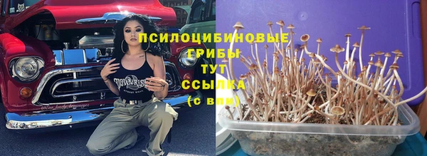 кокаин премиум Алексеевка